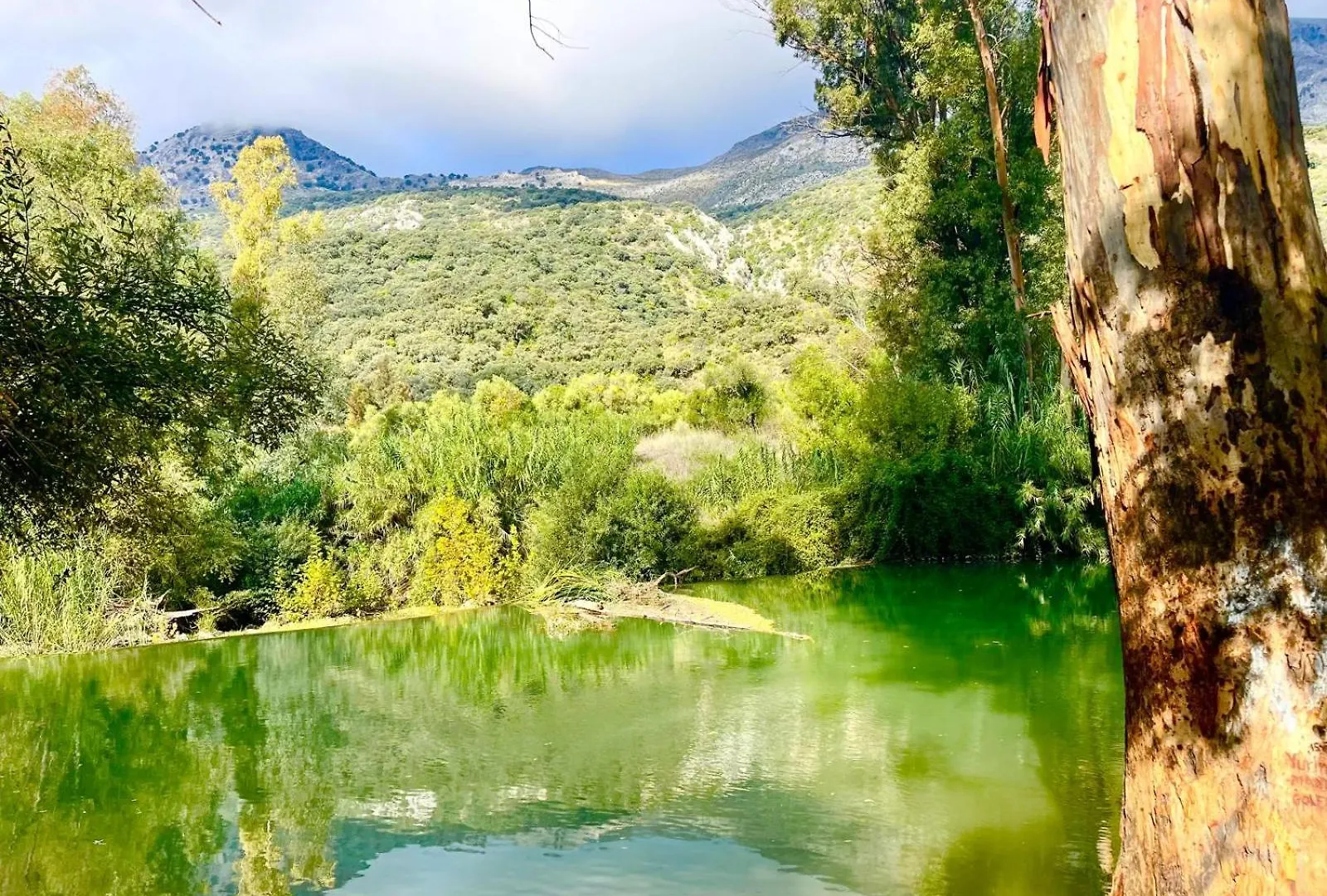 Casa El Cerro Villa Cortes de la Frontera 0*,  Spain